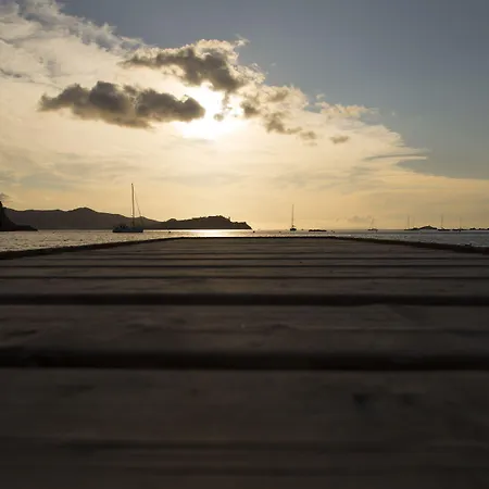 Mare